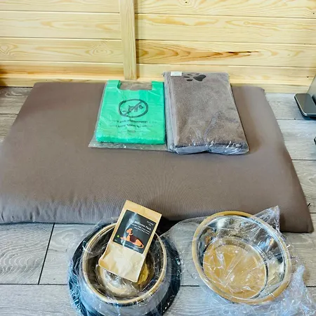Ffrith Park Glamping Pods-3